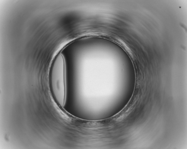 X0000094450795200711081046