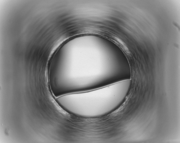 X0000094450796200711081046