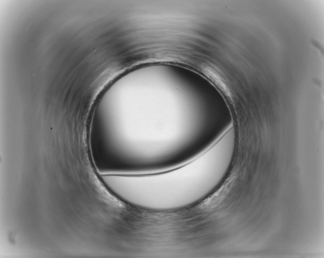X0000094450797200711081046