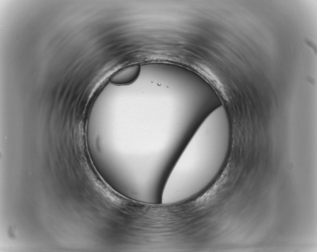 X0000094450798200711081046
