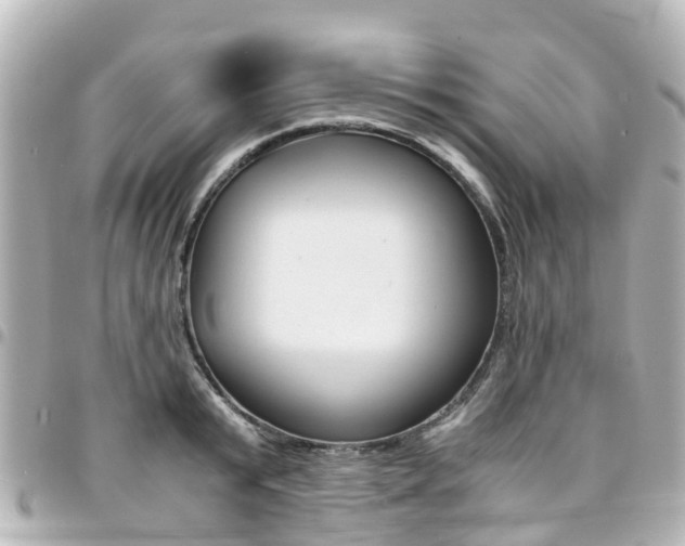 X0000094450799200711081046
