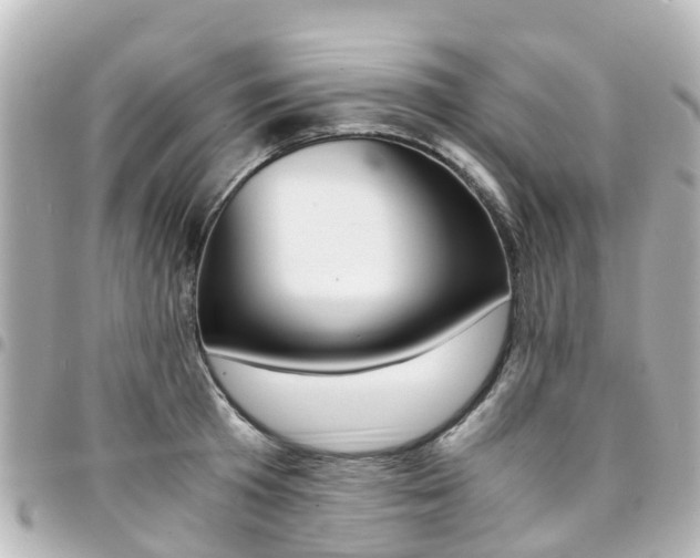 X0000094450801200711081046