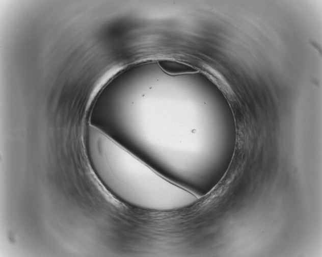 X0000094450804200711081046