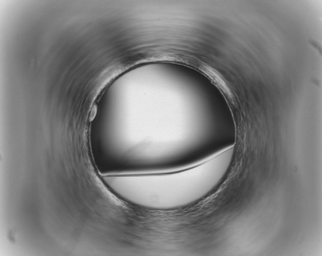 X0000094450805200711081046
