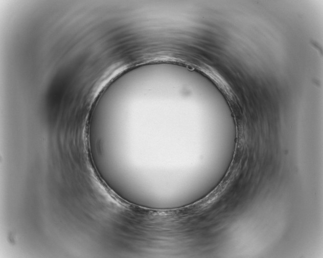 X0000094450806200711081046