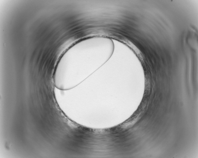 X0000094450807200711081046