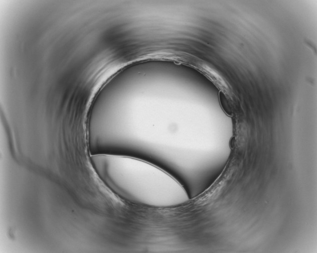 X0000094450808200711081046