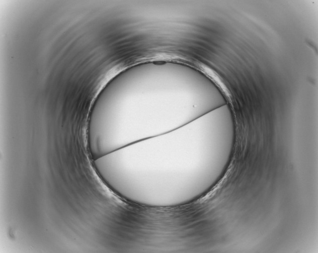 X0000094450810200711081046