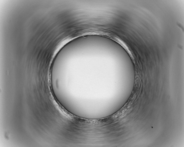 X0000094450811200711081046