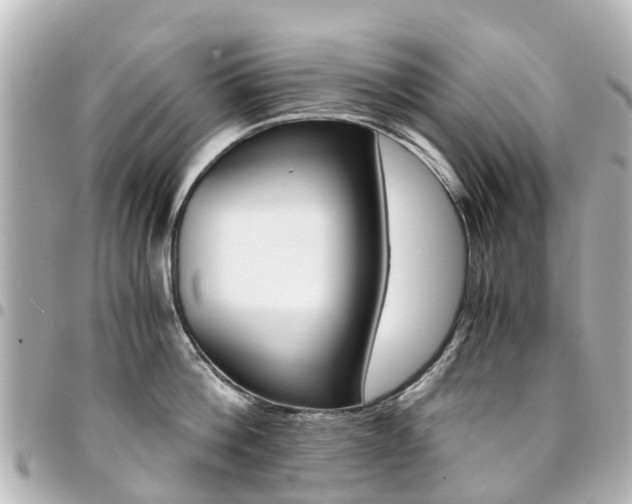 X0000094450812200711081046