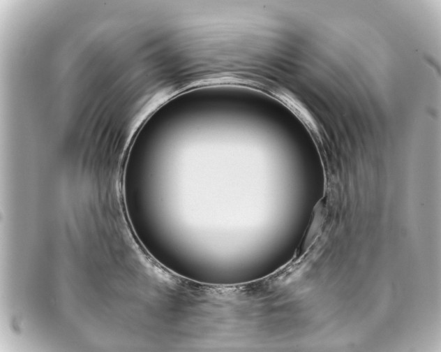 X0000094450813200711081046