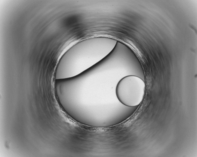 X0000094450814200711081046