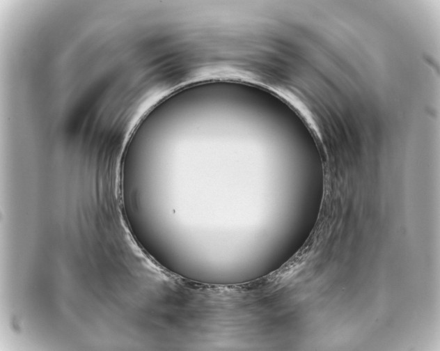 X0000094450815200711081046