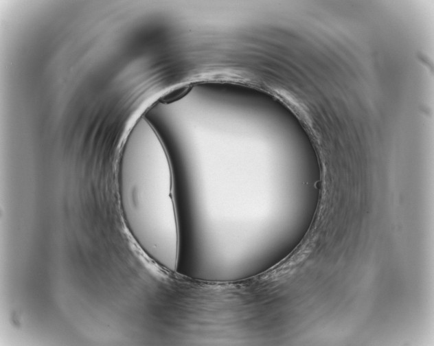 X0000094450816200711081046