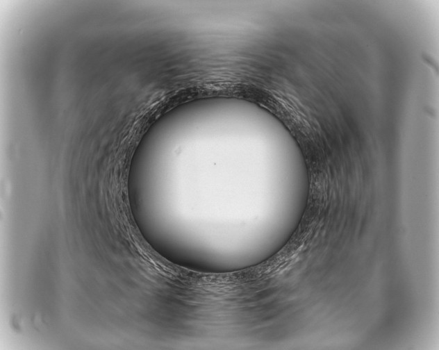 X0000094450817200711081045