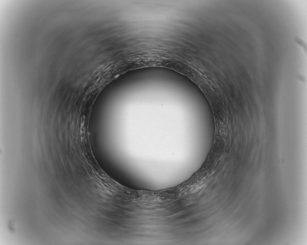 X0000094450818200711081045