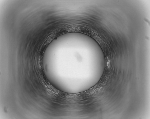 X0000094450819200711081045
