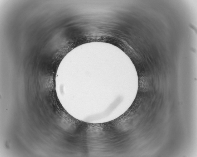 X0000094450820200711081045