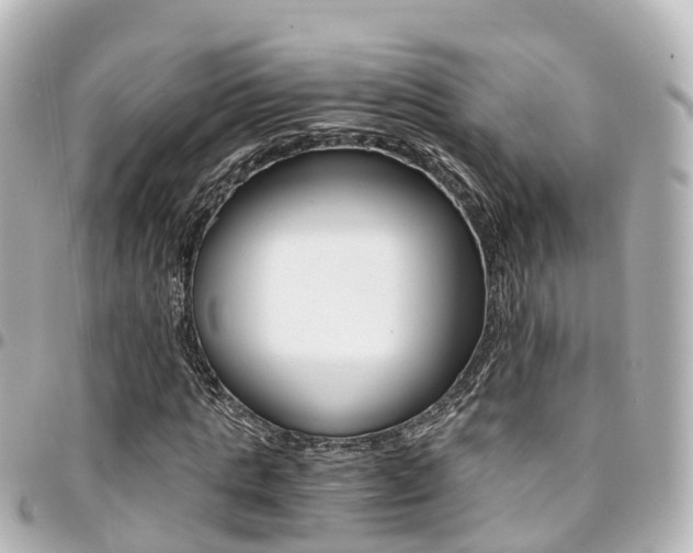X0000094450821200711081045