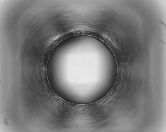 X0000094450822200711081045