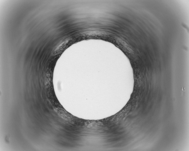 X0000094450824200711081045