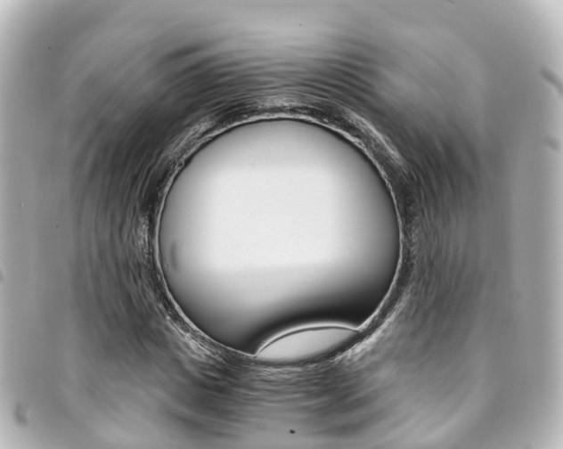 X0000094450825200711081045