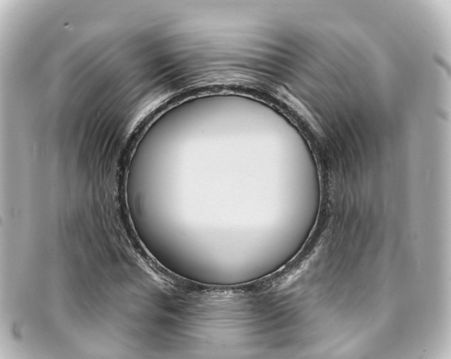 X0000094450826200711081045