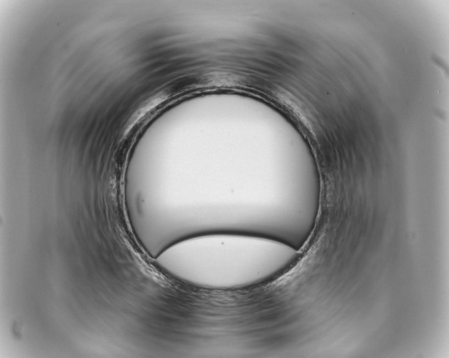 X0000094450827200711081045