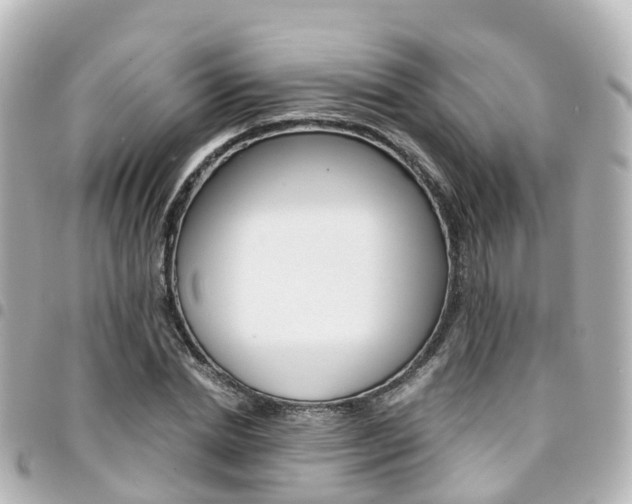 X0000094450830200711081045