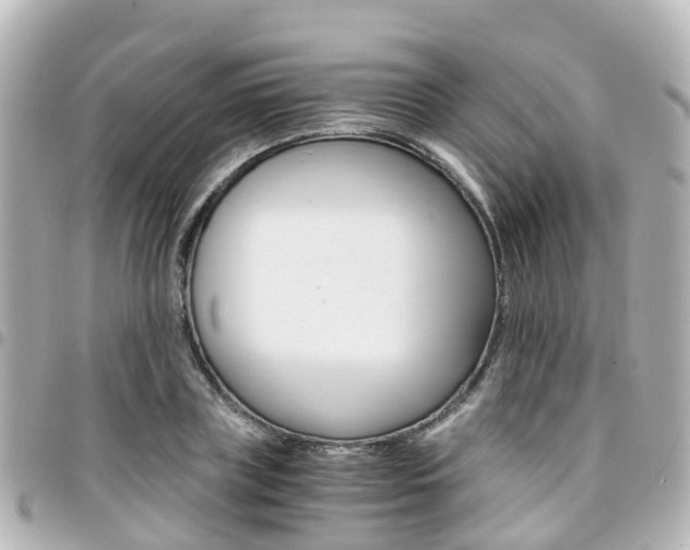 X0000094450835200711081045