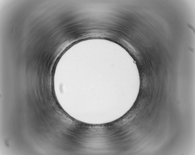 X0000094450836200711081045