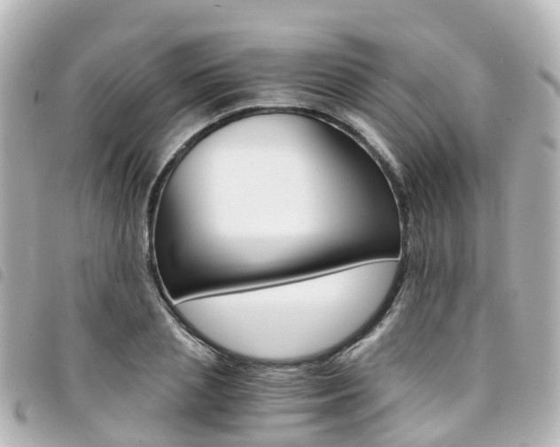 X0000094450837200711081045