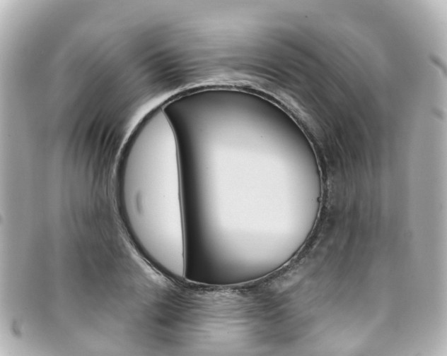 X0000094450838200711081045