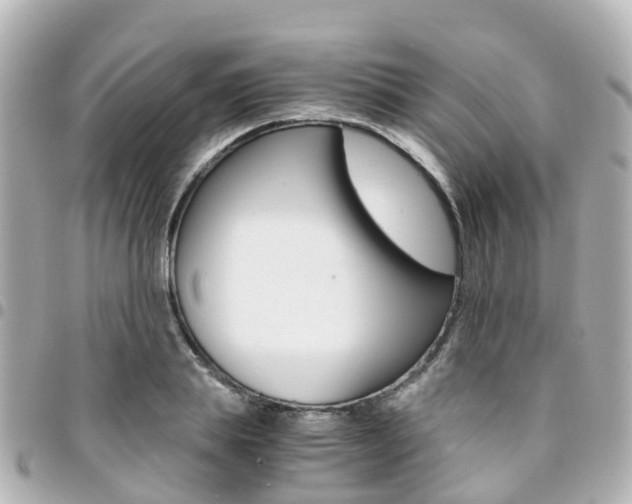 X0000094450839200711081045