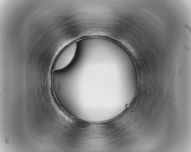 X0000094450840200711081045