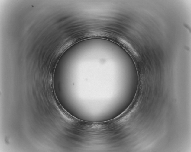 X0000094450841200711081045