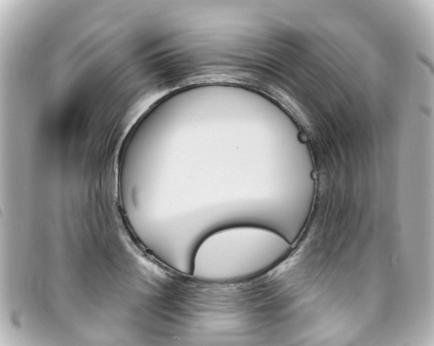 X0000094450844200711081045