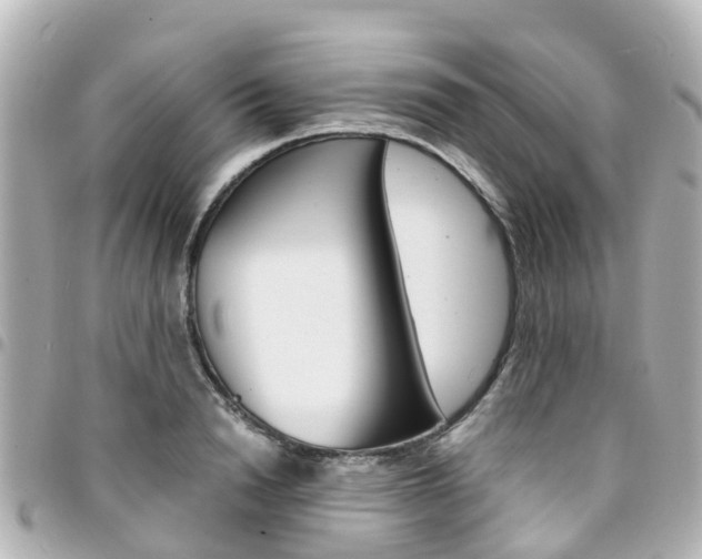 X0000094450846200711081045