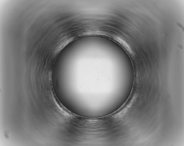 X0000094450849200711081045