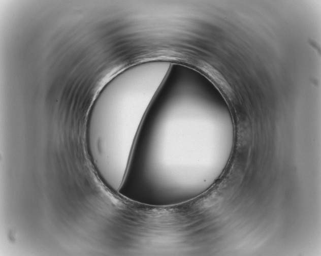 X0000094450850200711081045