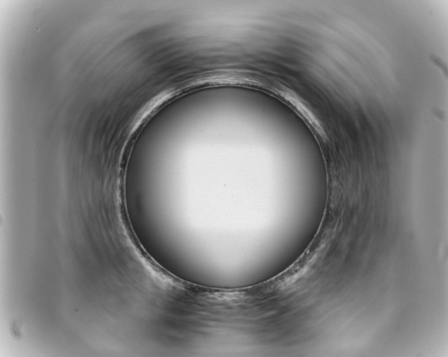 X0000094450853200711081045