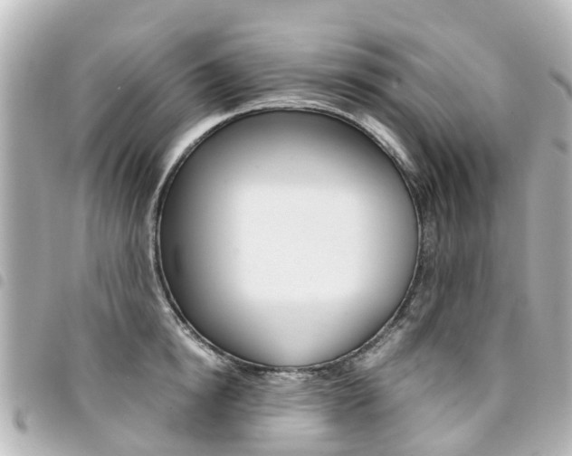 X0000094450854200711081045