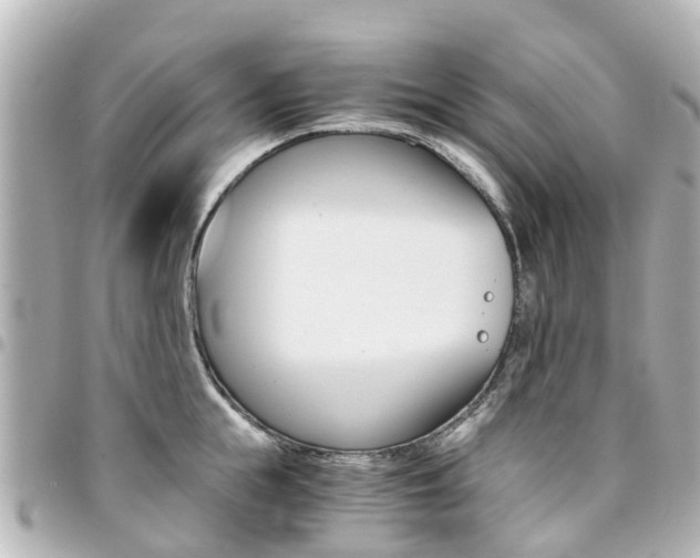 X0000094450855200711081046