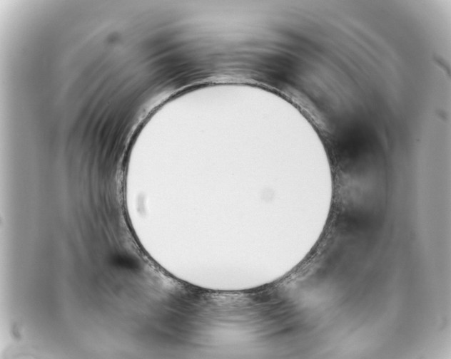 X0000094450856200711081046