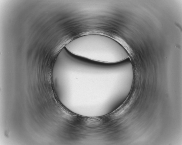 X0000094450857200711081046
