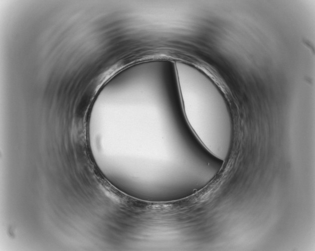 X0000094450858200711081046