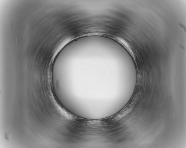 X0000094450859200711081046