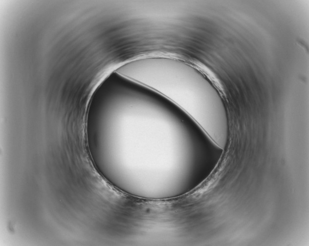 X0000094450860200711081046