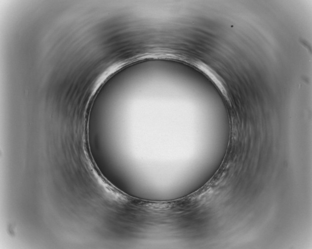 X0000094450861200711081046