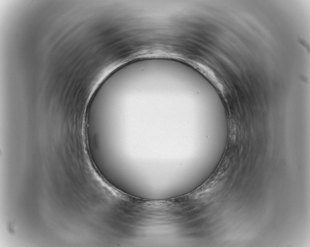X0000094450863200711081046